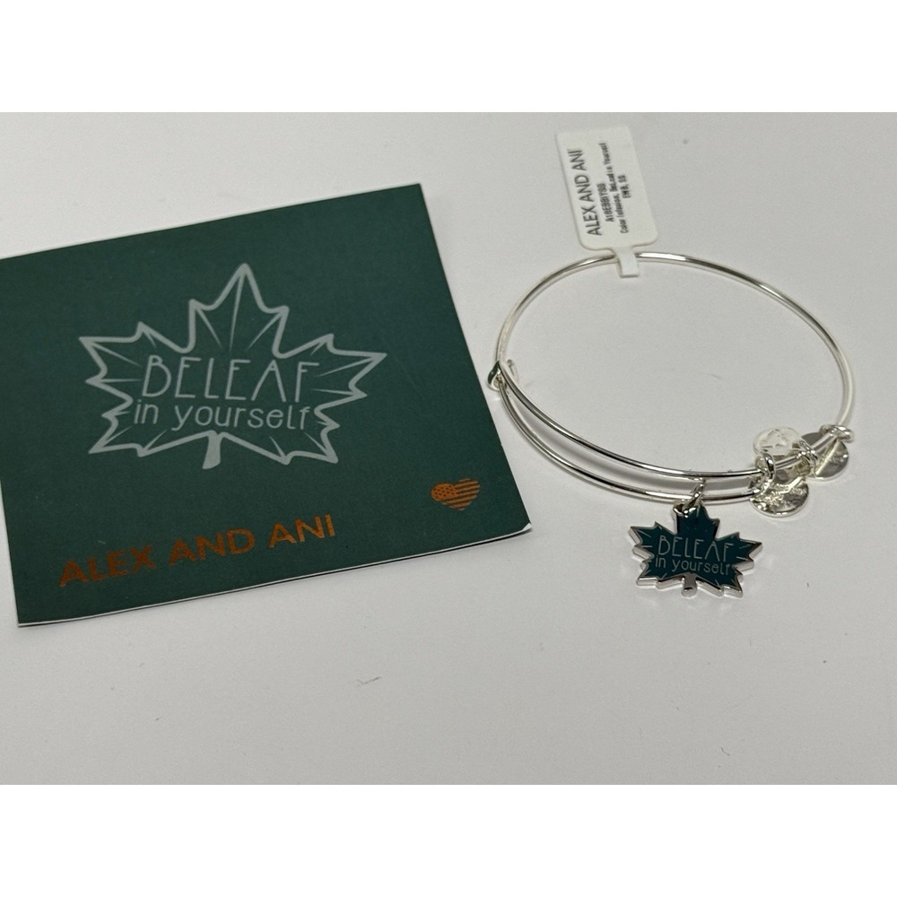Alex And Ani Beleaf In Yourself Shiny Silver Toned Charm Bangle Bracelet NWT